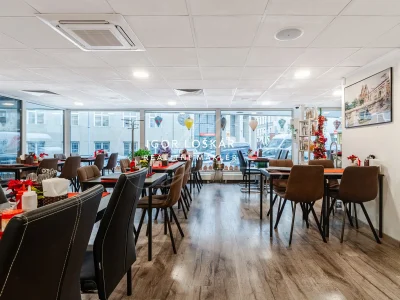 chilli-tree-vietnamska-restaurace-pronajem-ul-orli-brno-05-igor-loskar-realitni-makler