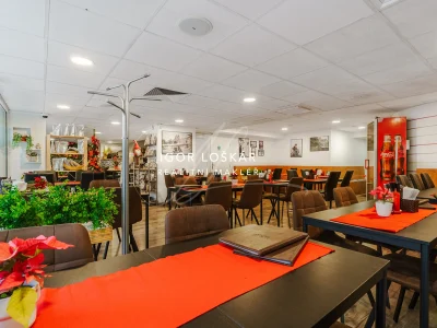 chilli-tree-vietnamska-restaurace-pronajem-ul-orli-brno-13-igor-loskar-realitni-makler