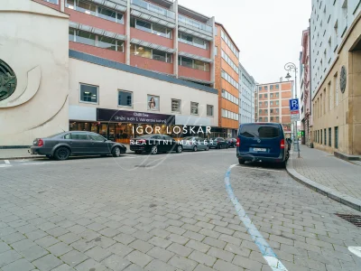 chilli-tree-vietnamska-restaurace-pronajem-ul-orli-brno-21-igor-loskar-realitni-makler