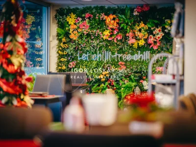 chilli-tree-vietnamska-restaurace-pronajem-ul-orli-brno-28-igor-loskar-realitni-makler