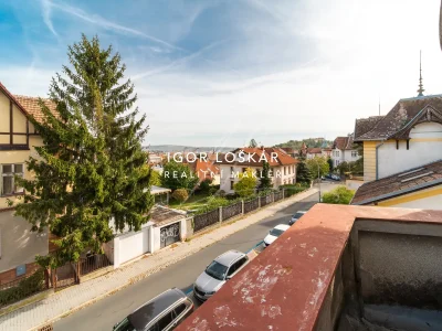 vila_heinrichova_5_brno_stranice_masarykova_ctvrt_igor_loskar_realitni_makler_34