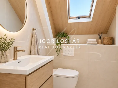vizualizace_rodinny_dum_brno_samoty_lisen_igor_loskar_realitni_makler_19
